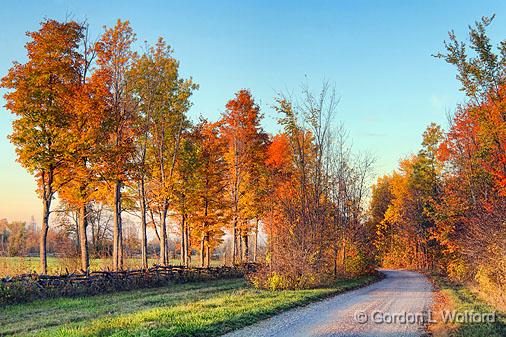 Autumn Back Road At Sunrise_17826.jpg - Photographed near Smiths Falls, Ontario, Canada.